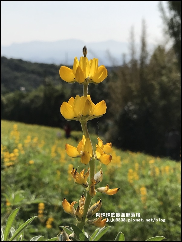 大北坑44.JPG 大北坑44.JPG