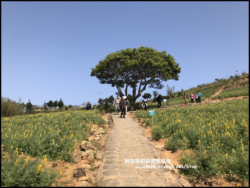 大北坑45.JPG 大北坑45.JPG