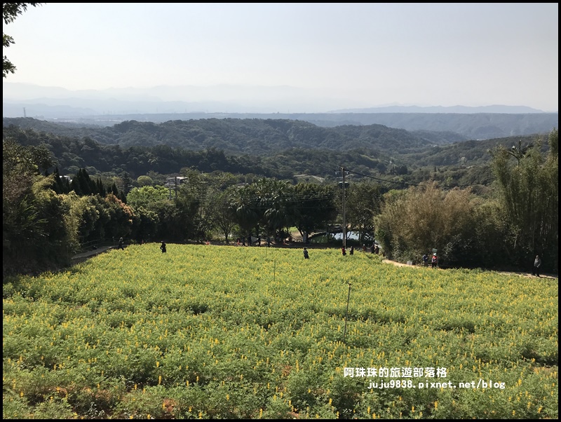 大北坑42.JPG 大北坑42.JPG