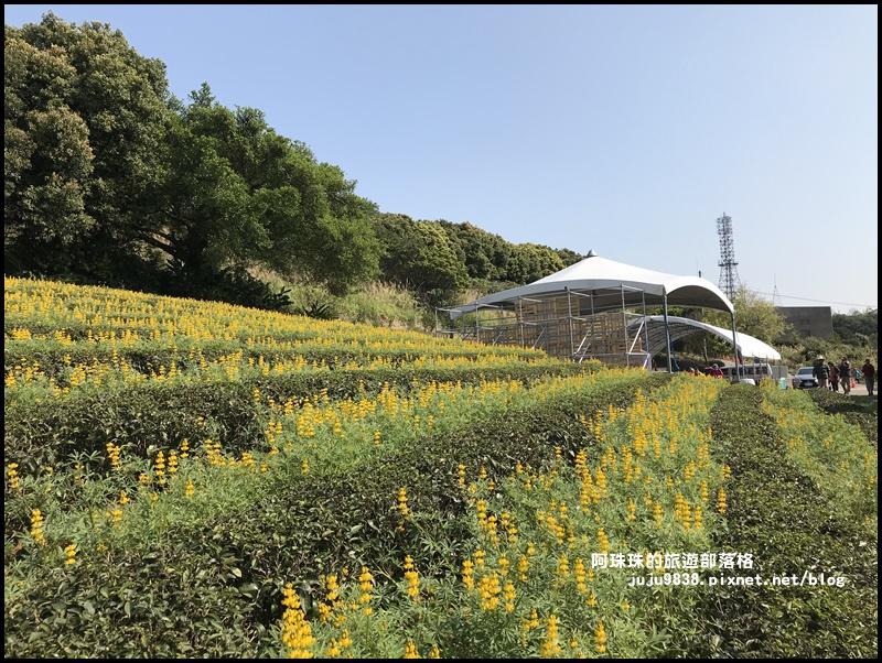 大北坑41.JPG 大北坑41.JPG