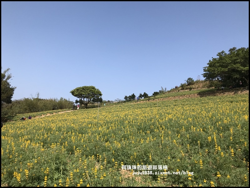 大北坑40.JPG 大北坑40.JPG