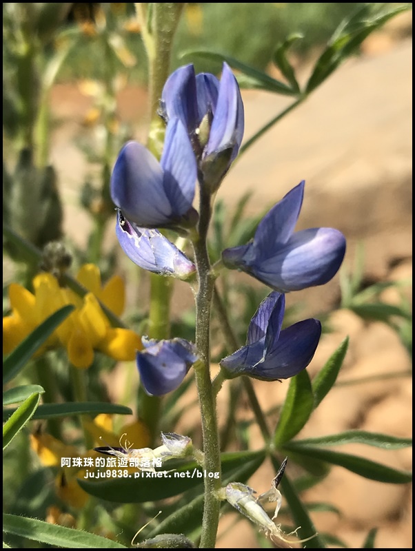 大北坑43.JPG 大北坑43.JPG