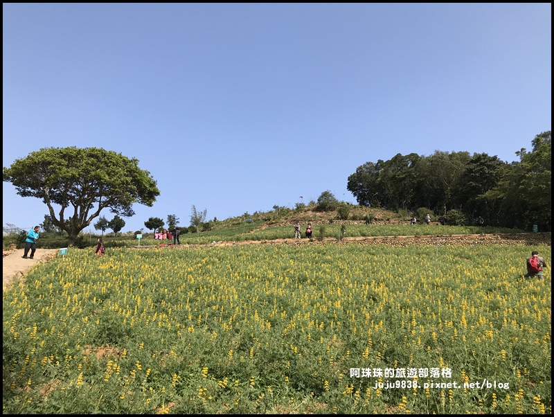 大北坑47.JPG 大北坑47.JPG