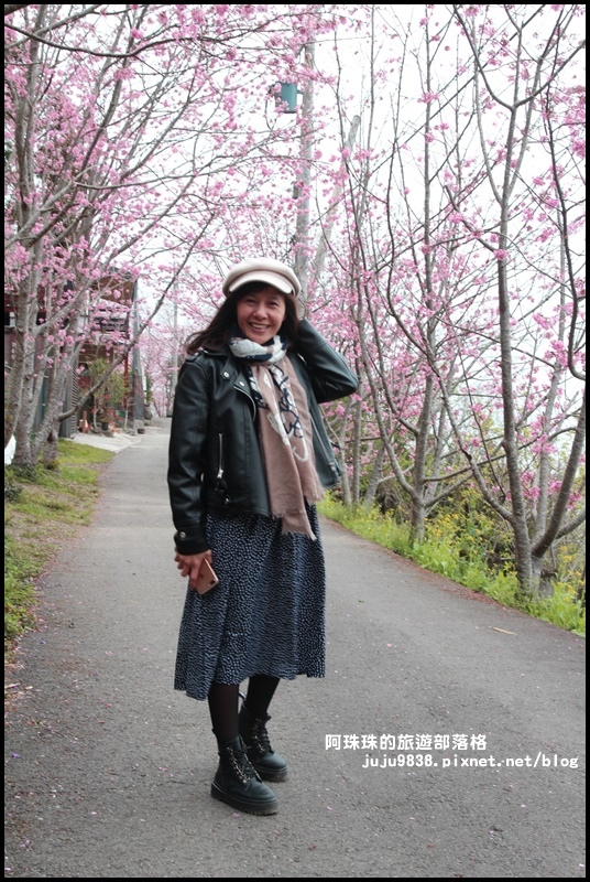 櫻木花道2.JPG