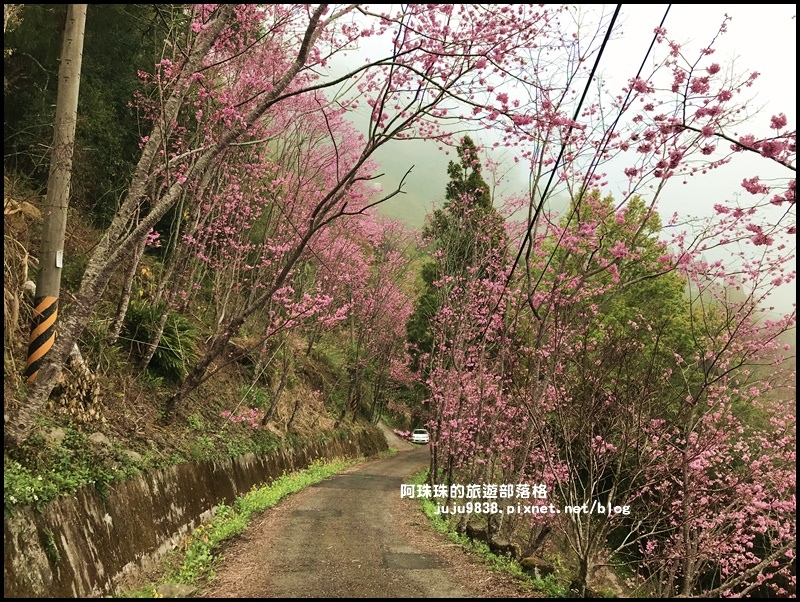 櫻木花道38.JPG