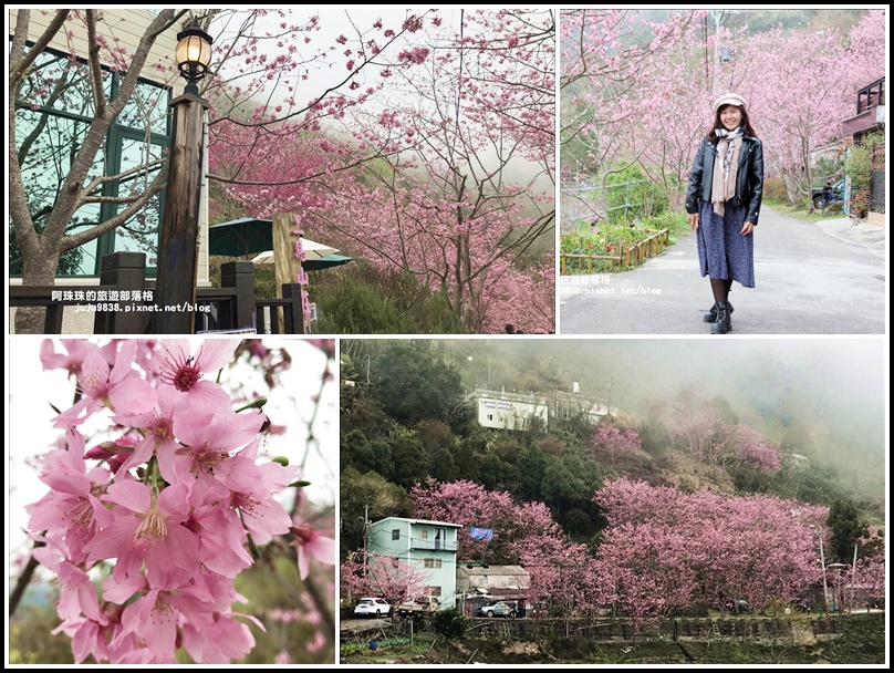 櫻木花道51.jpg 櫻木花道51.jpg