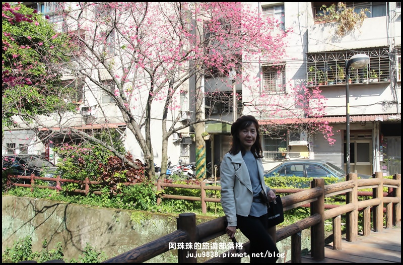 莒光公園10.JPG 莒光公園10.JPG