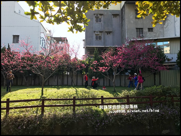 莒光公園51.JPG 莒光公園51.JPG