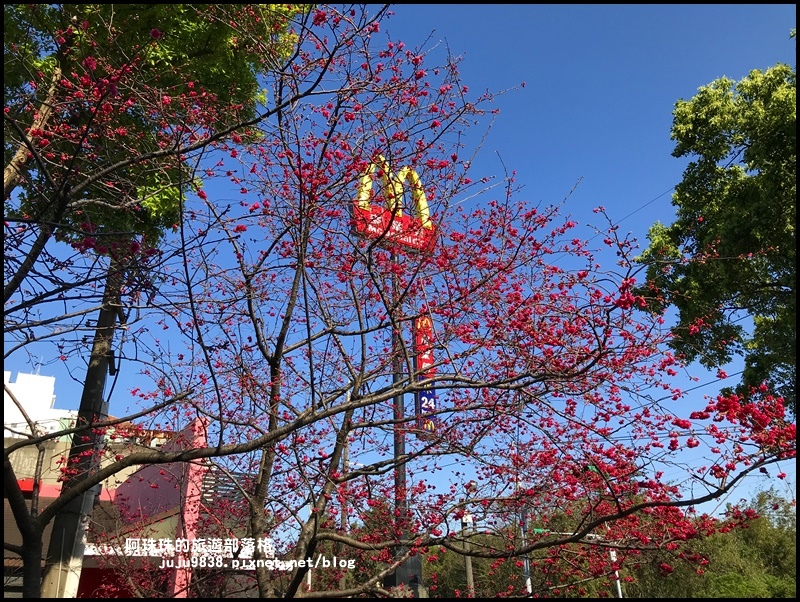 莒光公園52.JPG 莒光公園52.JPG