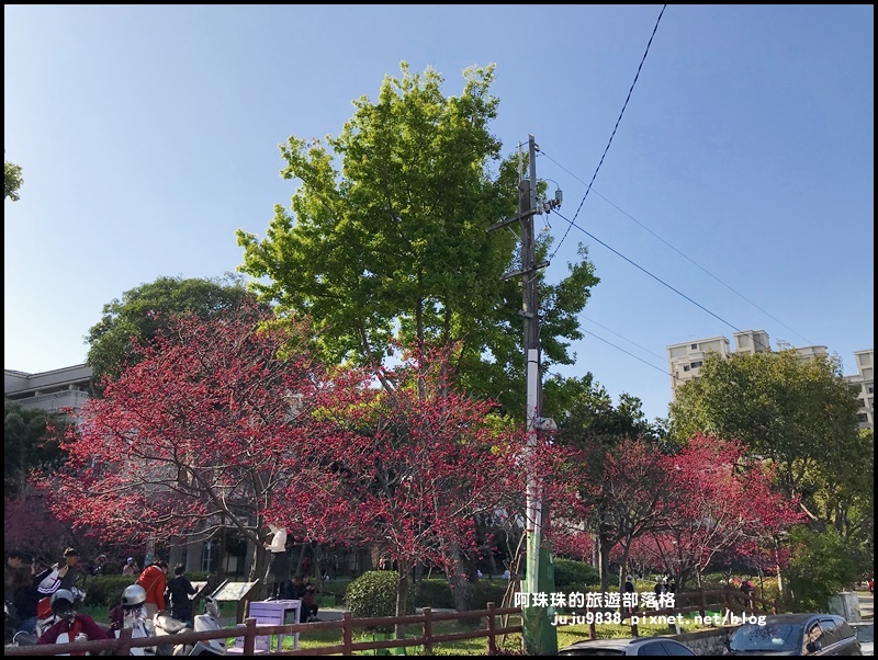 莒光公園53.JPG 莒光公園53.JPG