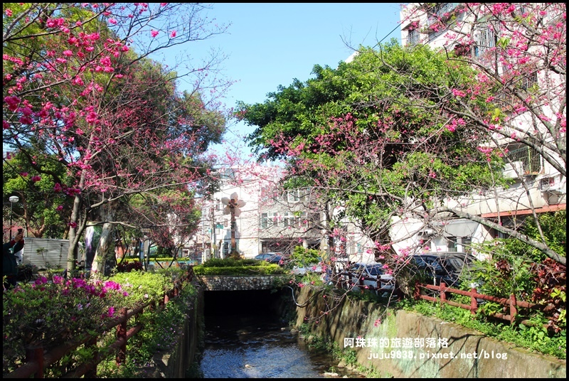 莒光公園9.JPG 莒光公園9.JPG