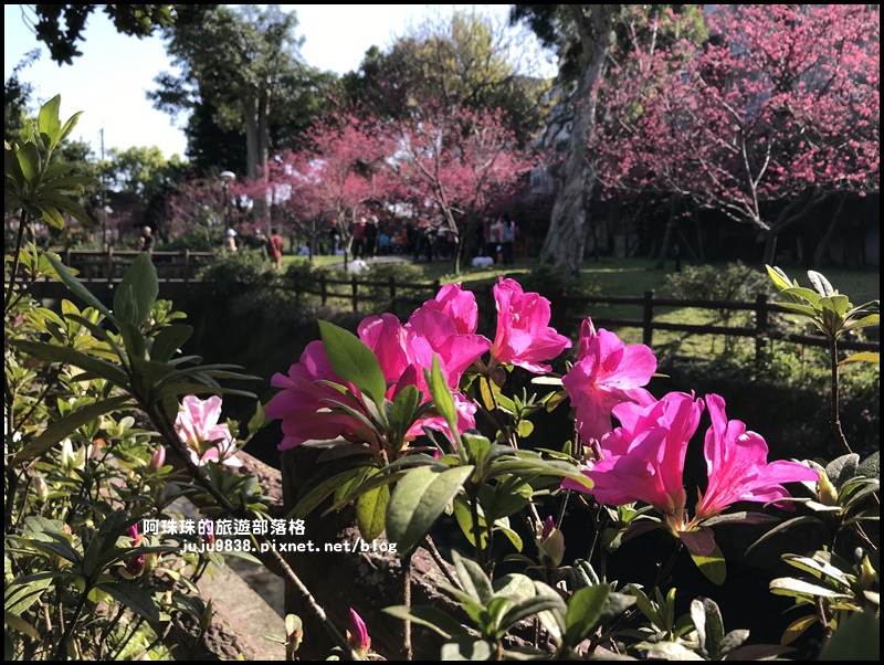 莒光公園50.JPG 莒光公園50.JPG