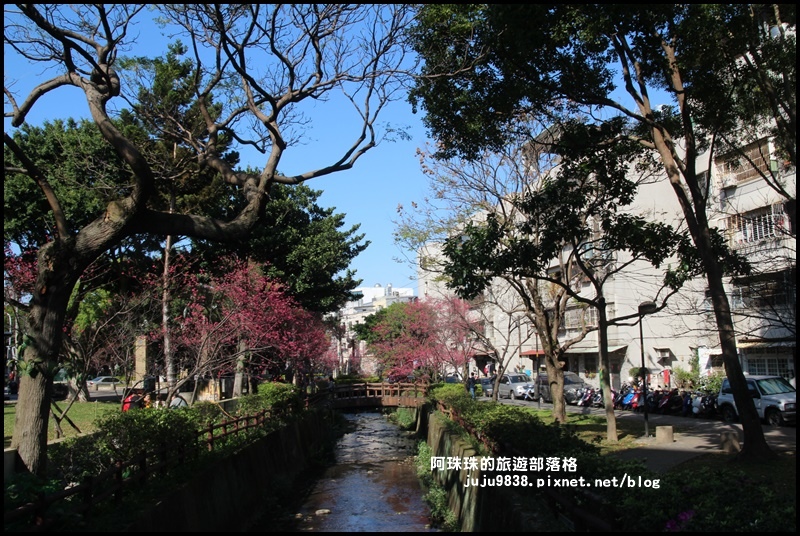 莒光公園8.JPG 莒光公園8.JPG