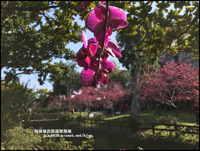 莒光公園49.JPG 莒光公園49.JPG