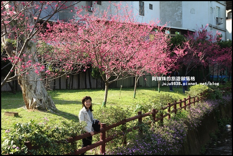 莒光公園6.JPG 莒光公園6.JPG