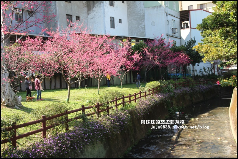 莒光公園3.JPG 莒光公園3.JPG