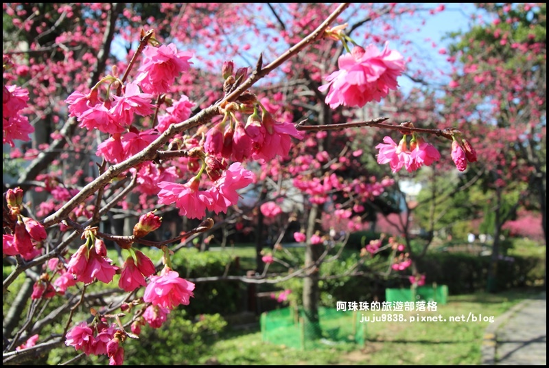 莒光公園2.JPG 莒光公園2.JPG