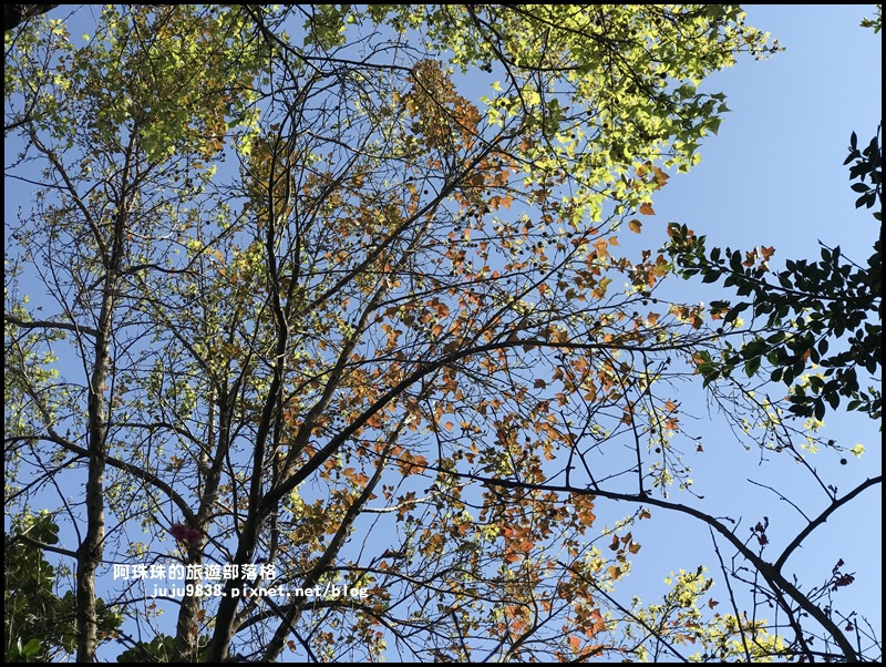 莒光公園44.JPG 莒光公園44.JPG