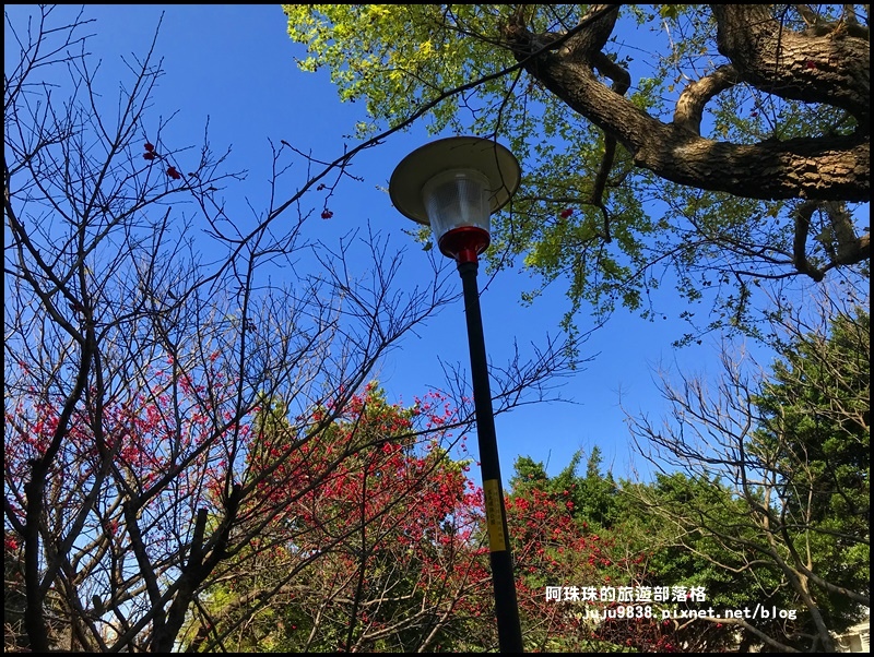 莒光公園42.JPG 莒光公園42.JPG