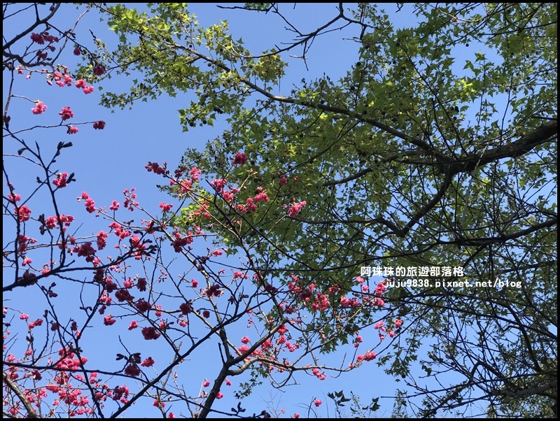 莒光公園43.JPG 莒光公園43.JPG