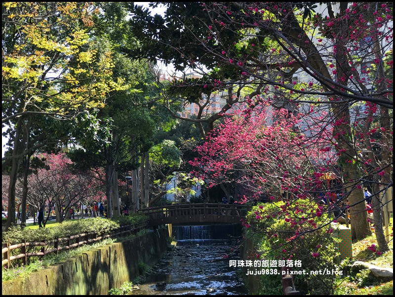 莒光公園33.JPG 莒光公園33.JPG