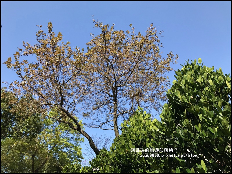 莒光公園32.JPG 莒光公園32.JPG