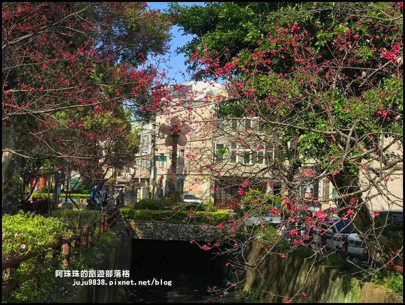 莒光公園34.JPG 莒光公園34.JPG