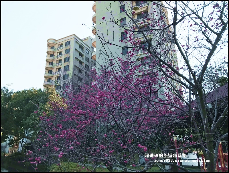 莒光公園29.JPG 莒光公園29.JPG