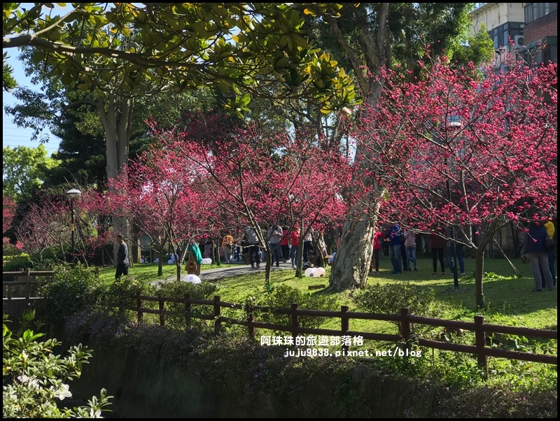 莒光公園22.JPG 莒光公園22.JPG