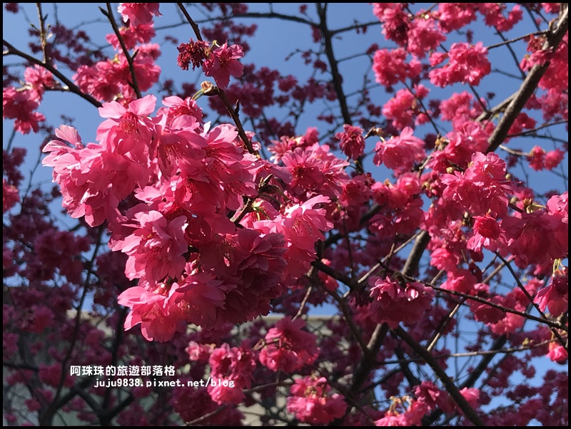 莒光公園20.JPG 莒光公園20.JPG