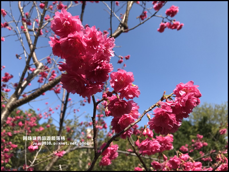 莒光公園18.JPG 莒光公園18.JPG