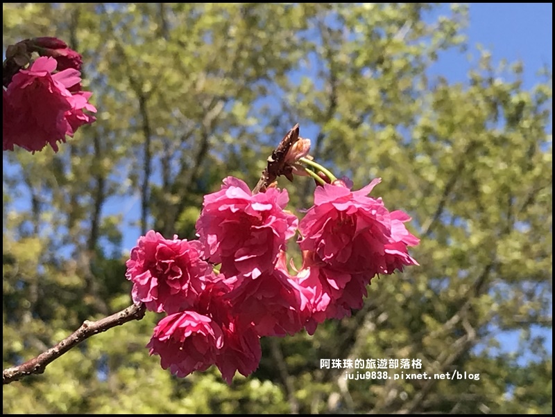 莒光公園15.JPG 莒光公園15.JPG