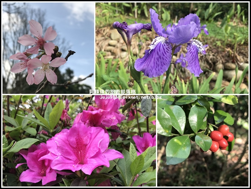 長庚養生村49.jpg 長庚養生村49.jpg