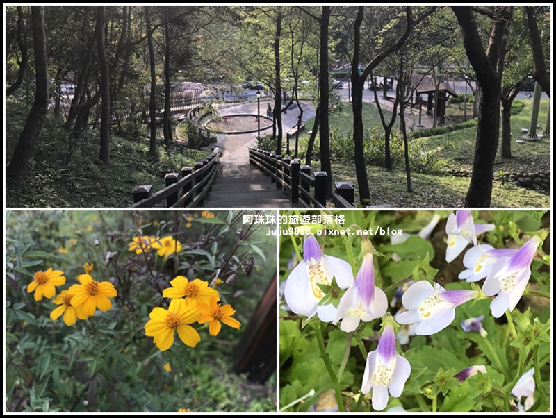 長庚養生村52.jpg 長庚養生村52.jpg