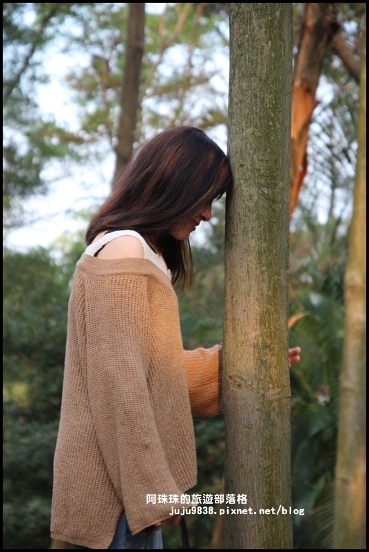 龜山壽山巖觀音寺49.JPG