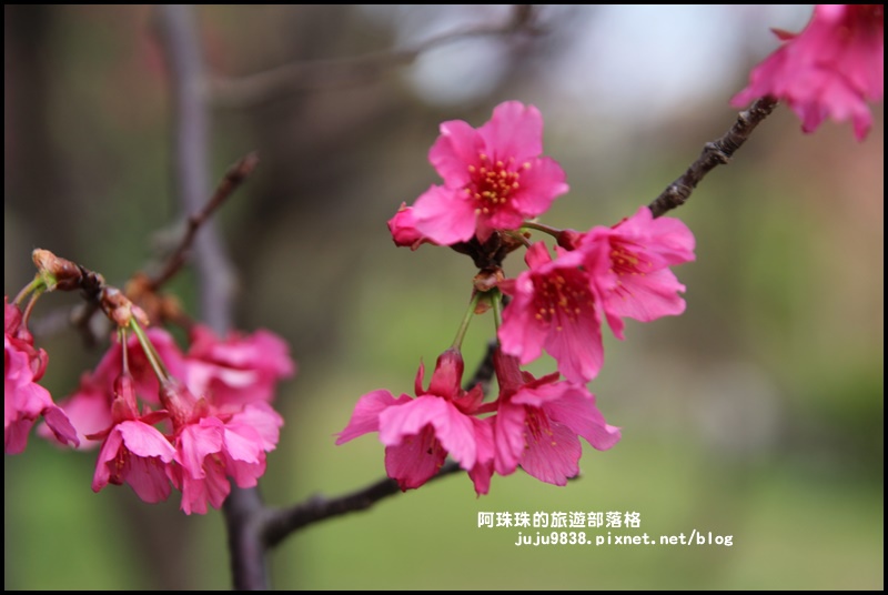 龜山壽山巖觀音寺38.JPG