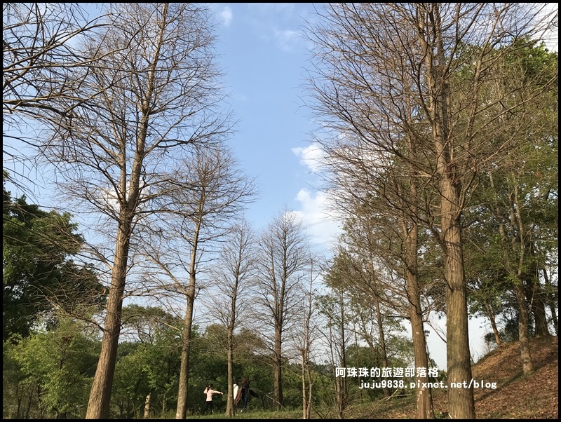 長庚養生村51.JPG 長庚養生村51.JPG