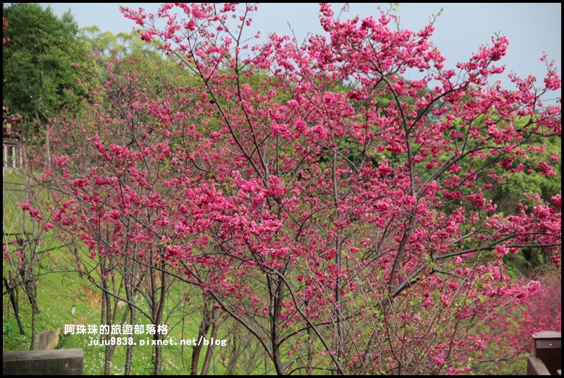 長庚養生村27.JPG 長庚養生村27.JPG
