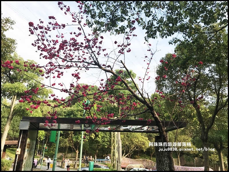 長庚養生村53.JPG 長庚養生村53.JPG