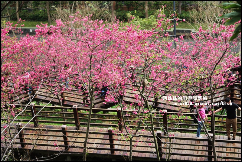 長庚養生村23.JPG 長庚養生村23.JPG