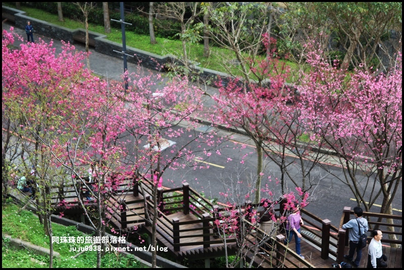 長庚養生村21.JPG 長庚養生村21.JPG