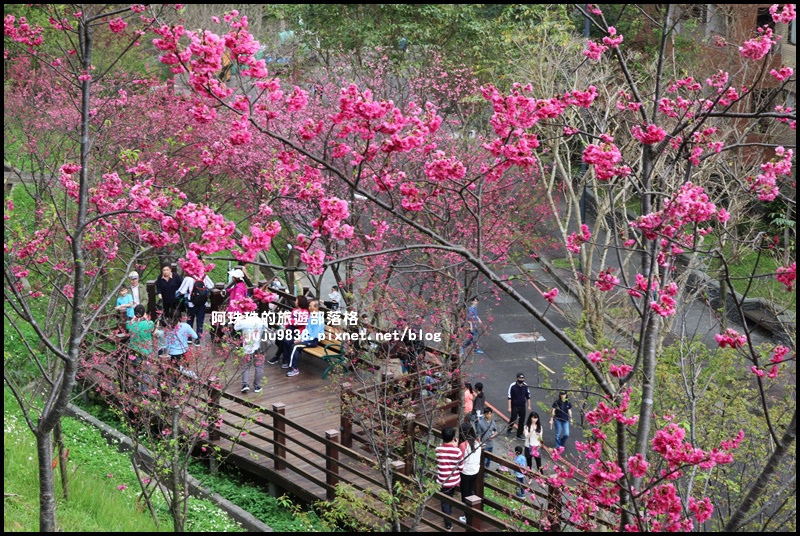 長庚養生村19.JPG 長庚養生村19.JPG