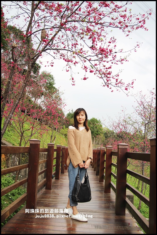 長庚養生村18.JPG 長庚養生村18.JPG