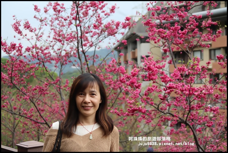 長庚養生村14.JPG 長庚養生村14.JPG