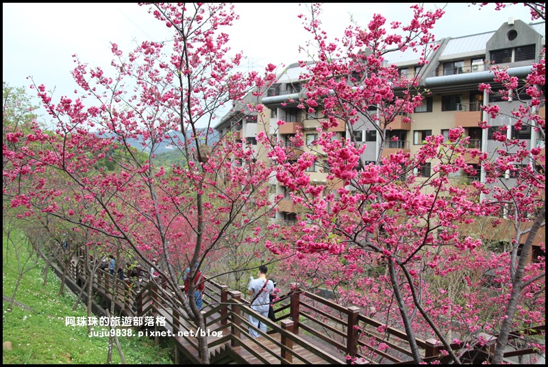 長庚養生村15.JPG 長庚養生村15.JPG