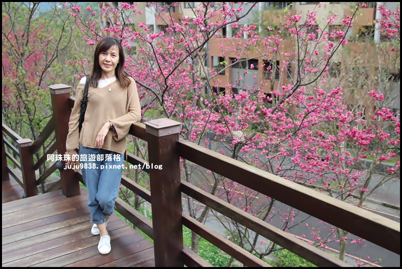 長庚養生村9.JPG 長庚養生村9.JPG