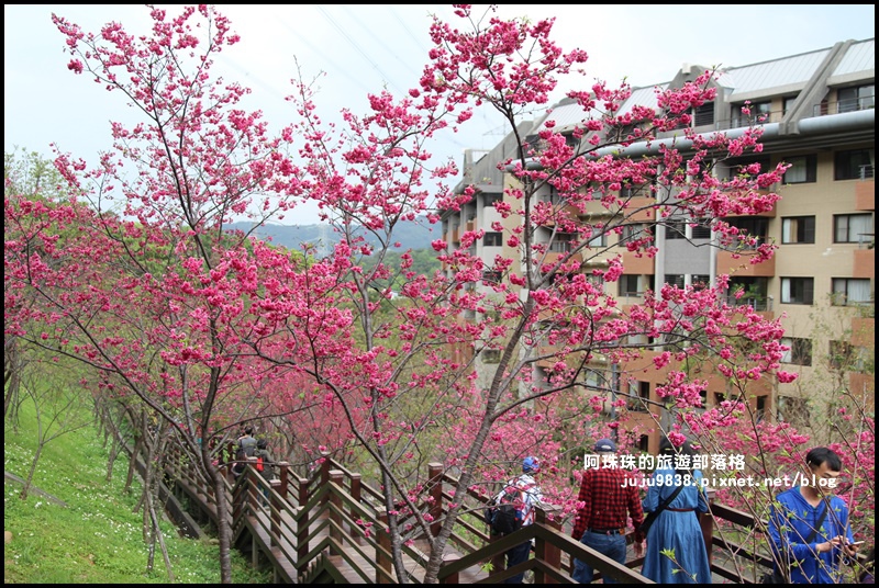 長庚養生村13.JPG 長庚養生村13.JPG