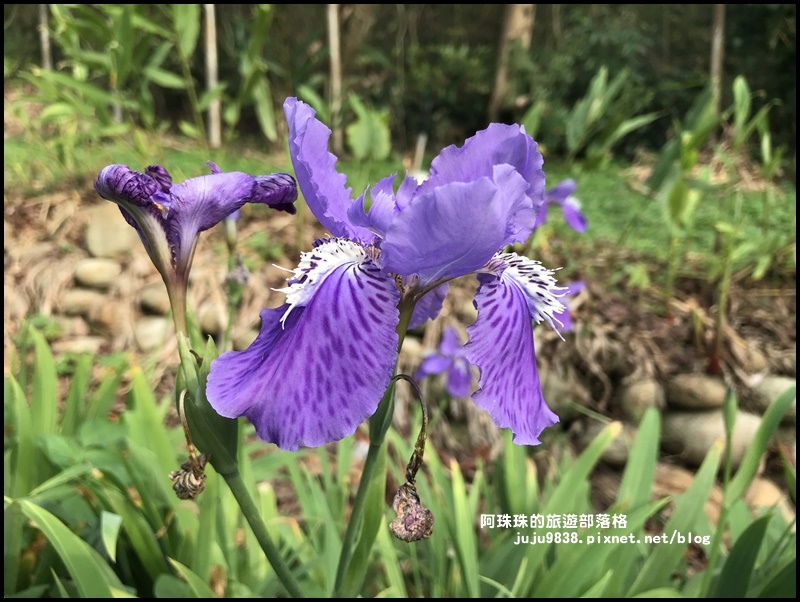 長庚養生村48.JPG 長庚養生村48.JPG