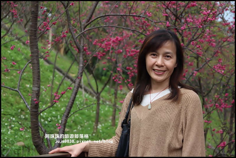 長庚養生村4.JPG 長庚養生村4.JPG