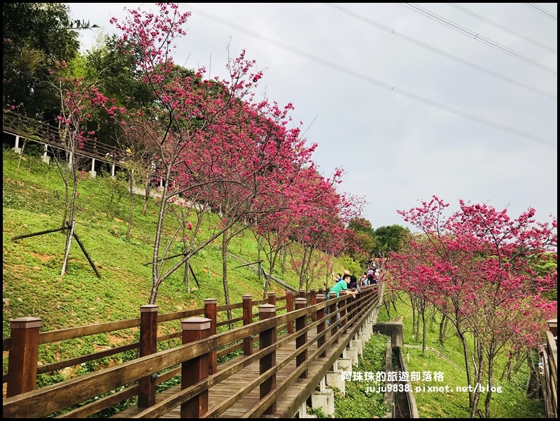 長庚養生村36.JPG 長庚養生村36.JPG